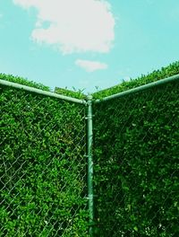 Fence on grassy field