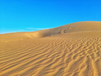 Sunny day in desert of algeria