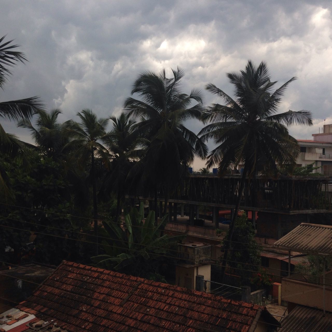 palm tree, building exterior, architecture, tree, sky, built structure, cloud - sky, cloudy, house, growth, cloud, residential building, low angle view, residential structure, day, roof, outdoors, no people, nature, city