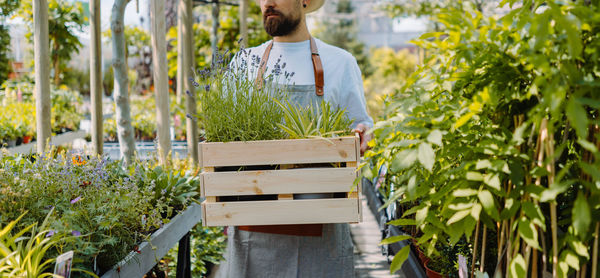 Midsection of male gardener walking and holding box. garden centre shop