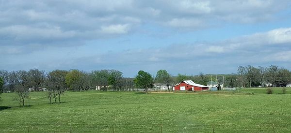 Houses on grassy field against cloudy sky