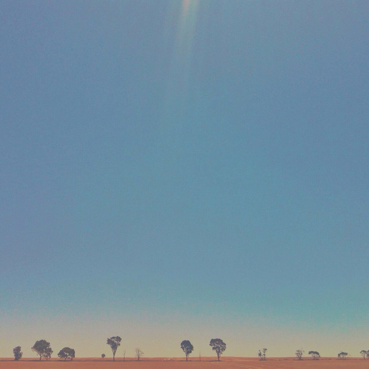 clear sky, copy space, transportation, low angle view, silhouette, nature, mode of transport, tranquility, blue, sky, beauty in nature, flying, tranquil scene, outdoors, tree, scenics, animal themes, day, bicycle, sunlight