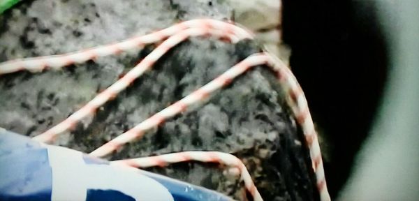 Close-up of hand holding ice cream