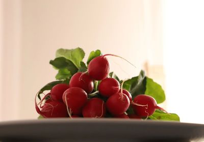 Close-up of radish on table raw food healthy food vitamine