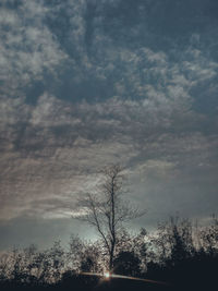 Low angle view of silhouette bare trees against sky