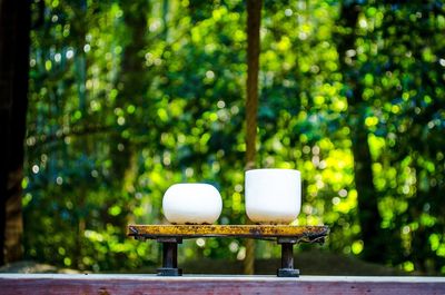 Close-up of empty table in park