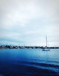 Sailboats sailing in sea against sky