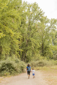 Rear view of people walking on road amidst trees