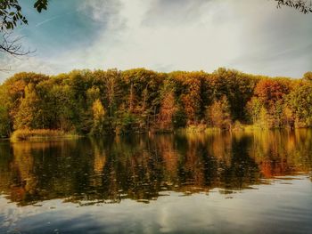 Trees by lake against sky