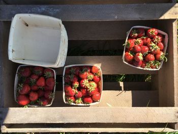 High angle view of fruits in basket on table