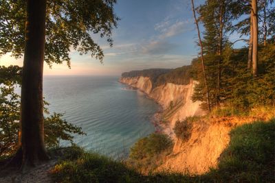 Iconic coastline of the island of rügen in the morning with beech trees on the cliffs of baltic sea.