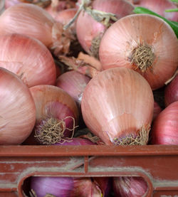 Close-up of vegetables