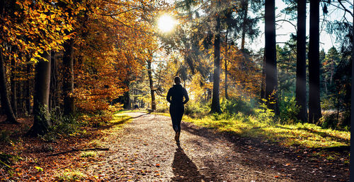 Rear view of person standing by trees in forest during autumn