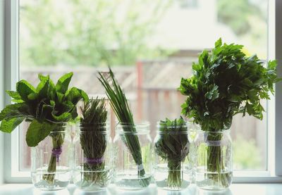 Close-up of plants in glass vase on table