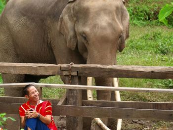 Smiling man with elephant sitting in forest