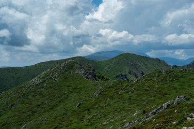 environment