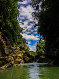 River amidst trees in forest against sky