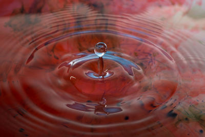 Close-up of splashing water