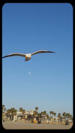 View of train against clear sky