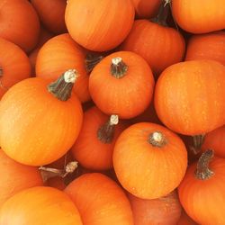 Full frame shot of pumpkins in market