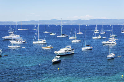 Sailboats in sea