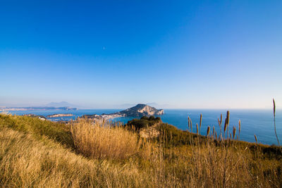 Scenic view of field against clear blue sky