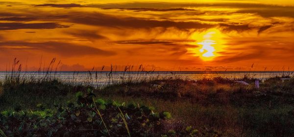 Scenic view of sea during sunset