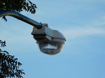 Low angle view of trees against blue sky