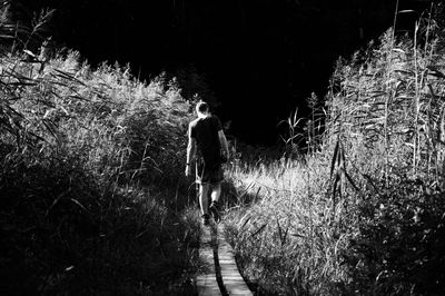 Footpath in forest