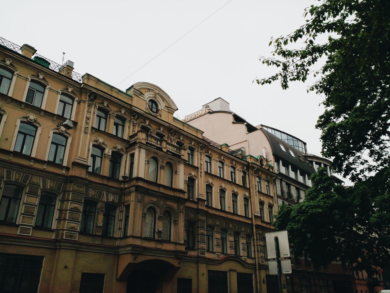 architecture, low angle view, building exterior, built structure, clear sky, no people, day, tree, outdoors, city, sky