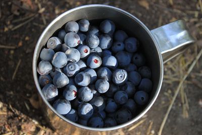 Close-up of blueberries