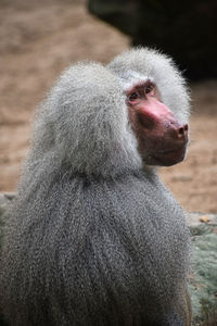 Close-up of mouth looking away