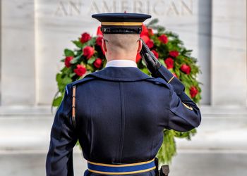 Rear view of man standing by potted plant
