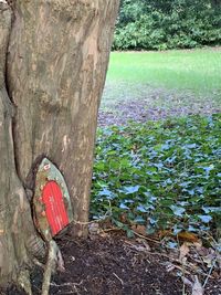 View of an animal on tree trunk