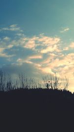 Silhouette trees against sky during sunset