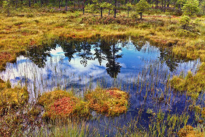 Scenic view of lake