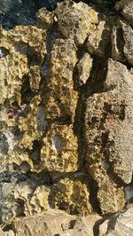 Full frame shot of stone wall