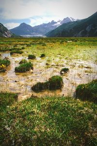 Scenic view of landscape