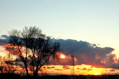 Silhouette trees on landscape against clear sky during sunset