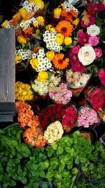 Full frame shot of fruits for sale