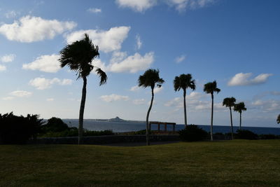 Silhouette palm trees on field against sky