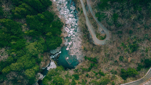 High angle view of river amidst trees in forest