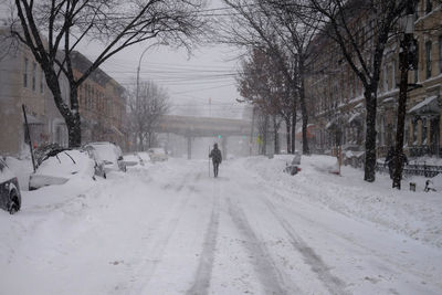 View of bare trees in city during winter