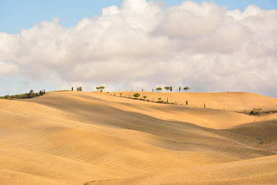 Scenic view of landscape against cloudy sky