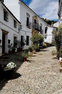 Potted plants on footpath by building against sky