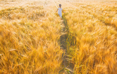 Rear view of man walking on grassy field