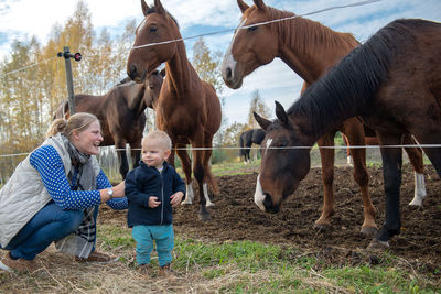 Mother and son looking at horses in ranch