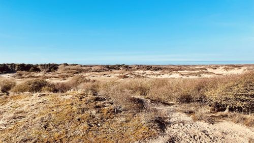 Scenic view of desert against clear blue sky