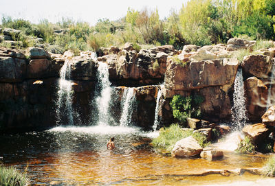 View of waterfall in forest