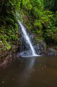 Scenic view of waterfall